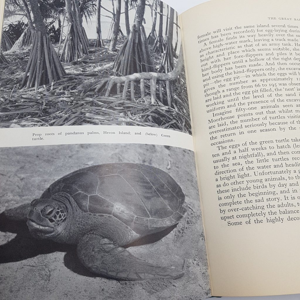 The Great Barrier Reef by WJ DAKIN (1963, Australia) Hardback Revised Edition | Image 11