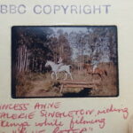 Blue Peter: Princess Anne & Valerie Singleton Horse Rising Kenya 35mm Slide (1971) BBC | Image 1