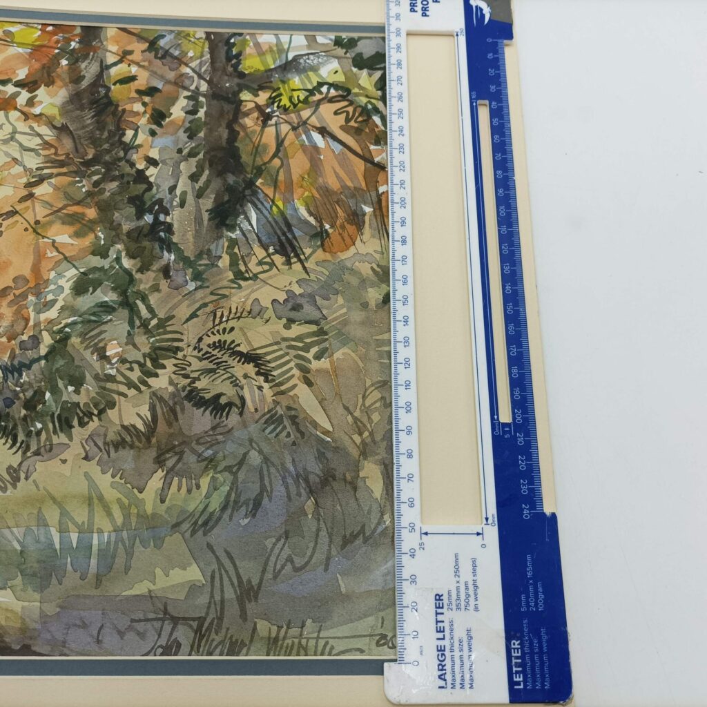 Original Watercolour Painting by John Michael Webster | Autumn Woodland Walk [G+] 48x 30cm | Image 8
