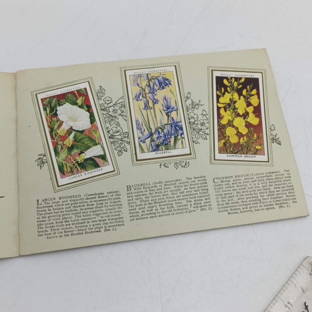 An Album of Wild Flowers by W.D. & H.D. Wills (1937) Cigarette Cards [VG+] Complete (Copy) | Image 3