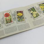 An Album of Wild Flowers by W.D. & H.D. Wills (1937) Cigarette Cards [VG+] Complete (Copy) | Image 4