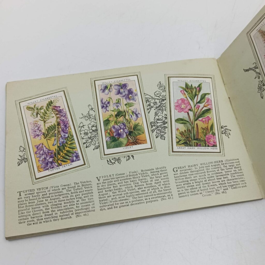 An Album of Wild Flowers by W.D. & H.D. Wills (1937) Cigarette Cards [VG+] Complete (Copy) | Image 5