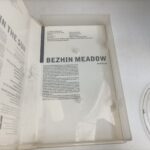 Russian Classics: Time in the Sun / Bezhin Meadow VHS  Video [G+] Hendring | Image 6